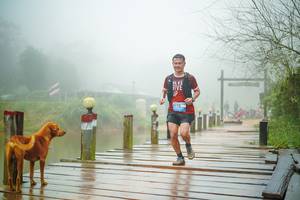 BIB: 
                            <button type="button" onclick="openModal(25163913)" class="btn btn-primary btn-sm float-right btn-popup" data-toggle="modal" data-target=".modal-high-quality">
                        <i class="fas fa-shopping-cart"></i> Add to Cart
                    </button>
                                            <button type="button" onclick="isThisMe(25163913, true)" class="btn btn-success btn-sm float-right btn-popup btn-isme hidden" data-toggle="tooltip" data-placement="bottom" title="นี่คือรูปของคุณใช่ไหม คลิกที่นี่เพื่อเอาเข้าอัลบั้ม">
                        <i class="fas fa-plus"></i> Add to album
                    </button>
                    <button type="button" onclick="isThisMe(25163913, false)" class="btn btn-warning btn-sm float-right btn-popup btn-isnotme hidden">
                        <i class="fas fa-ban"></i> Remove from album
                    </button>