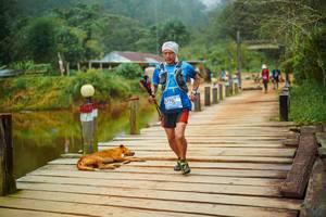 BIB: 
                            <button type="button" onclick="openModal(25159676)" class="btn btn-primary btn-sm float-right btn-popup" data-toggle="modal" data-target=".modal-high-quality">
                        <i class="fas fa-shopping-cart"></i> Add to Cart
                    </button>
                                            <button type="button" onclick="isThisMe(25159676, true)" class="btn btn-success btn-sm float-right btn-popup btn-isme hidden" data-toggle="tooltip" data-placement="bottom" title="นี่คือรูปของคุณใช่ไหม คลิกที่นี่เพื่อเอาเข้าอัลบั้ม">
                        <i class="fas fa-plus"></i> Add to album
                    </button>
                    <button type="button" onclick="isThisMe(25159676, false)" class="btn btn-warning btn-sm float-right btn-popup btn-isnotme hidden">
                        <i class="fas fa-ban"></i> Remove from album
                    </button>