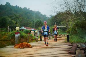 BIB: 
                            <button type="button" onclick="openModal(25158143)" class="btn btn-primary btn-sm float-right btn-popup" data-toggle="modal" data-target=".modal-high-quality">
                        <i class="fas fa-shopping-cart"></i> Add to Cart
                    </button>
                                            <button type="button" onclick="isThisMe(25158143, true)" class="btn btn-success btn-sm float-right btn-popup btn-isme hidden" data-toggle="tooltip" data-placement="bottom" title="นี่คือรูปของคุณใช่ไหม คลิกที่นี่เพื่อเอาเข้าอัลบั้ม">
                        <i class="fas fa-plus"></i> Add to album
                    </button>
                    <button type="button" onclick="isThisMe(25158143, false)" class="btn btn-warning btn-sm float-right btn-popup btn-isnotme hidden">
                        <i class="fas fa-ban"></i> Remove from album
                    </button>