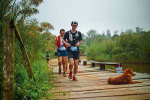 BIB: 
                            <button type="button" onclick="openModal(25106505)" class="btn btn-primary btn-sm float-right btn-popup" data-toggle="modal" data-target=".modal-high-quality">
                        <i class="fas fa-shopping-cart"></i> Add to Cart
                    </button>
                                            <button type="button" onclick="isThisMe(25106505, true)" class="btn btn-success btn-sm float-right btn-popup btn-isme hidden" data-toggle="tooltip" data-placement="bottom" title="นี่คือรูปของคุณใช่ไหม คลิกที่นี่เพื่อเอาเข้าอัลบั้ม">
                        <i class="fas fa-plus"></i> Add to album
                    </button>
                    <button type="button" onclick="isThisMe(25106505, false)" class="btn btn-warning btn-sm float-right btn-popup btn-isnotme hidden">
                        <i class="fas fa-ban"></i> Remove from album
                    </button>