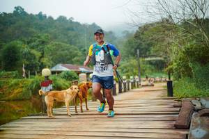 BIB: 
                            <button type="button" onclick="openModal(25121757)" class="btn btn-primary btn-sm float-right btn-popup" data-toggle="modal" data-target=".modal-high-quality">
                        <i class="fas fa-shopping-cart"></i> Add to Cart
                    </button>
                                            <button type="button" onclick="isThisMe(25121757, true)" class="btn btn-success btn-sm float-right btn-popup btn-isme hidden" data-toggle="tooltip" data-placement="bottom" title="นี่คือรูปของคุณใช่ไหม คลิกที่นี่เพื่อเอาเข้าอัลบั้ม">
                        <i class="fas fa-plus"></i> Add to album
                    </button>
                    <button type="button" onclick="isThisMe(25121757, false)" class="btn btn-warning btn-sm float-right btn-popup btn-isnotme hidden">
                        <i class="fas fa-ban"></i> Remove from album
                    </button>