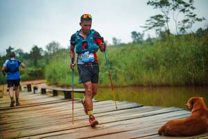 BIB: 
                            <button type="button" onclick="openModal(25141330)" class="btn btn-primary btn-sm float-right btn-popup" data-toggle="modal" data-target=".modal-high-quality">
                        <i class="fas fa-shopping-cart"></i> Add to Cart
                    </button>
                                            <button type="button" onclick="isThisMe(25141330, true)" class="btn btn-success btn-sm float-right btn-popup btn-isme hidden" data-toggle="tooltip" data-placement="bottom" title="นี่คือรูปของคุณใช่ไหม คลิกที่นี่เพื่อเอาเข้าอัลบั้ม">
                        <i class="fas fa-plus"></i> Add to album
                    </button>
                    <button type="button" onclick="isThisMe(25141330, false)" class="btn btn-warning btn-sm float-right btn-popup btn-isnotme hidden">
                        <i class="fas fa-ban"></i> Remove from album
                    </button>