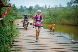 BIB: 
                            <button type="button" onclick="openModal(25171368)" class="btn btn-primary btn-sm float-right btn-popup" data-toggle="modal" data-target=".modal-high-quality">
                        <i class="fas fa-shopping-cart"></i> Add to Cart
                    </button>
                                            <button type="button" onclick="isThisMe(25171368, true)" class="btn btn-success btn-sm float-right btn-popup btn-isme hidden" data-toggle="tooltip" data-placement="bottom" title="นี่คือรูปของคุณใช่ไหม คลิกที่นี่เพื่อเอาเข้าอัลบั้ม">
                        <i class="fas fa-plus"></i> Add to album
                    </button>
                    <button type="button" onclick="isThisMe(25171368, false)" class="btn btn-warning btn-sm float-right btn-popup btn-isnotme hidden">
                        <i class="fas fa-ban"></i> Remove from album
                    </button>