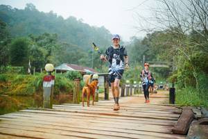 BIB: 
                            <button type="button" onclick="openModal(25123443)" class="btn btn-primary btn-sm float-right btn-popup" data-toggle="modal" data-target=".modal-high-quality">
                        <i class="fas fa-shopping-cart"></i> Add to Cart
                    </button>
                                            <button type="button" onclick="isThisMe(25123443, true)" class="btn btn-success btn-sm float-right btn-popup btn-isme hidden" data-toggle="tooltip" data-placement="bottom" title="นี่คือรูปของคุณใช่ไหม คลิกที่นี่เพื่อเอาเข้าอัลบั้ม">
                        <i class="fas fa-plus"></i> Add to album
                    </button>
                    <button type="button" onclick="isThisMe(25123443, false)" class="btn btn-warning btn-sm float-right btn-popup btn-isnotme hidden">
                        <i class="fas fa-ban"></i> Remove from album
                    </button>