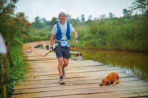 BIB: 
                            <button type="button" onclick="openModal(25133099)" class="btn btn-primary btn-sm float-right btn-popup" data-toggle="modal" data-target=".modal-high-quality">
                        <i class="fas fa-shopping-cart"></i> Add to Cart
                    </button>
                                            <button type="button" onclick="isThisMe(25133099, true)" class="btn btn-success btn-sm float-right btn-popup btn-isme hidden" data-toggle="tooltip" data-placement="bottom" title="นี่คือรูปของคุณใช่ไหม คลิกที่นี่เพื่อเอาเข้าอัลบั้ม">
                        <i class="fas fa-plus"></i> Add to album
                    </button>
                    <button type="button" onclick="isThisMe(25133099, false)" class="btn btn-warning btn-sm float-right btn-popup btn-isnotme hidden">
                        <i class="fas fa-ban"></i> Remove from album
                    </button>