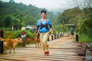 BIB: 
                            <button type="button" onclick="openModal(25121651)" class="btn btn-primary btn-sm float-right btn-popup" data-toggle="modal" data-target=".modal-high-quality">
                        <i class="fas fa-shopping-cart"></i> Add to Cart
                    </button>
                                            <button type="button" onclick="isThisMe(25121651, true)" class="btn btn-success btn-sm float-right btn-popup btn-isme hidden" data-toggle="tooltip" data-placement="bottom" title="นี่คือรูปของคุณใช่ไหม คลิกที่นี่เพื่อเอาเข้าอัลบั้ม">
                        <i class="fas fa-plus"></i> Add to album
                    </button>
                    <button type="button" onclick="isThisMe(25121651, false)" class="btn btn-warning btn-sm float-right btn-popup btn-isnotme hidden">
                        <i class="fas fa-ban"></i> Remove from album
                    </button>