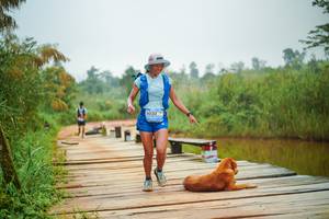 BIB: 
                            <button type="button" onclick="openModal(25106632)" class="btn btn-primary btn-sm float-right btn-popup" data-toggle="modal" data-target=".modal-high-quality">
                        <i class="fas fa-shopping-cart"></i> Add to Cart
                    </button>
                                            <button type="button" onclick="isThisMe(25106632, true)" class="btn btn-success btn-sm float-right btn-popup btn-isme hidden" data-toggle="tooltip" data-placement="bottom" title="นี่คือรูปของคุณใช่ไหม คลิกที่นี่เพื่อเอาเข้าอัลบั้ม">
                        <i class="fas fa-plus"></i> Add to album
                    </button>
                    <button type="button" onclick="isThisMe(25106632, false)" class="btn btn-warning btn-sm float-right btn-popup btn-isnotme hidden">
                        <i class="fas fa-ban"></i> Remove from album
                    </button>