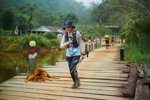 BIB: 
                            <button type="button" onclick="openModal(25159754)" class="btn btn-primary btn-sm float-right btn-popup" data-toggle="modal" data-target=".modal-high-quality">
                        <i class="fas fa-shopping-cart"></i> Add to Cart
                    </button>
                                            <button type="button" onclick="isThisMe(25159754, true)" class="btn btn-success btn-sm float-right btn-popup btn-isme hidden" data-toggle="tooltip" data-placement="bottom" title="นี่คือรูปของคุณใช่ไหม คลิกที่นี่เพื่อเอาเข้าอัลบั้ม">
                        <i class="fas fa-plus"></i> Add to album
                    </button>
                    <button type="button" onclick="isThisMe(25159754, false)" class="btn btn-warning btn-sm float-right btn-popup btn-isnotme hidden">
                        <i class="fas fa-ban"></i> Remove from album
                    </button>