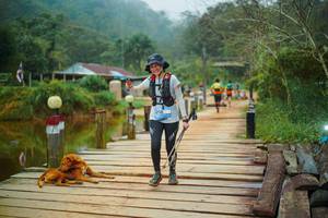 BIB: 
                            <button type="button" onclick="openModal(25159743)" class="btn btn-primary btn-sm float-right btn-popup" data-toggle="modal" data-target=".modal-high-quality">
                        <i class="fas fa-shopping-cart"></i> Add to Cart
                    </button>
                                            <button type="button" onclick="isThisMe(25159743, true)" class="btn btn-success btn-sm float-right btn-popup btn-isme hidden" data-toggle="tooltip" data-placement="bottom" title="นี่คือรูปของคุณใช่ไหม คลิกที่นี่เพื่อเอาเข้าอัลบั้ม">
                        <i class="fas fa-plus"></i> Add to album
                    </button>
                    <button type="button" onclick="isThisMe(25159743, false)" class="btn btn-warning btn-sm float-right btn-popup btn-isnotme hidden">
                        <i class="fas fa-ban"></i> Remove from album
                    </button>