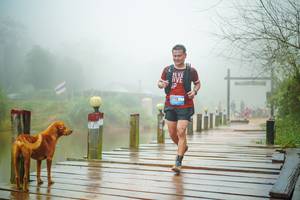 BIB: 
                            <button type="button" onclick="openModal(25163997)" class="btn btn-primary btn-sm float-right btn-popup" data-toggle="modal" data-target=".modal-high-quality">
                        <i class="fas fa-shopping-cart"></i> Add to Cart
                    </button>
                                            <button type="button" onclick="isThisMe(25163997, true)" class="btn btn-success btn-sm float-right btn-popup btn-isme hidden" data-toggle="tooltip" data-placement="bottom" title="นี่คือรูปของคุณใช่ไหม คลิกที่นี่เพื่อเอาเข้าอัลบั้ม">
                        <i class="fas fa-plus"></i> Add to album
                    </button>
                    <button type="button" onclick="isThisMe(25163997, false)" class="btn btn-warning btn-sm float-right btn-popup btn-isnotme hidden">
                        <i class="fas fa-ban"></i> Remove from album
                    </button>