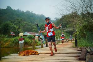 BIB: 
                            <button type="button" onclick="openModal(25158672)" class="btn btn-primary btn-sm float-right btn-popup" data-toggle="modal" data-target=".modal-high-quality">
                        <i class="fas fa-shopping-cart"></i> Add to Cart
                    </button>
                                            <button type="button" onclick="isThisMe(25158672, true)" class="btn btn-success btn-sm float-right btn-popup btn-isme hidden" data-toggle="tooltip" data-placement="bottom" title="นี่คือรูปของคุณใช่ไหม คลิกที่นี่เพื่อเอาเข้าอัลบั้ม">
                        <i class="fas fa-plus"></i> Add to album
                    </button>
                    <button type="button" onclick="isThisMe(25158672, false)" class="btn btn-warning btn-sm float-right btn-popup btn-isnotme hidden">
                        <i class="fas fa-ban"></i> Remove from album
                    </button>