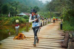 BIB: 
                            <button type="button" onclick="openModal(25159755)" class="btn btn-primary btn-sm float-right btn-popup" data-toggle="modal" data-target=".modal-high-quality">
                        <i class="fas fa-shopping-cart"></i> Add to Cart
                    </button>
                                            <button type="button" onclick="isThisMe(25159755, true)" class="btn btn-success btn-sm float-right btn-popup btn-isme hidden" data-toggle="tooltip" data-placement="bottom" title="นี่คือรูปของคุณใช่ไหม คลิกที่นี่เพื่อเอาเข้าอัลบั้ม">
                        <i class="fas fa-plus"></i> Add to album
                    </button>
                    <button type="button" onclick="isThisMe(25159755, false)" class="btn btn-warning btn-sm float-right btn-popup btn-isnotme hidden">
                        <i class="fas fa-ban"></i> Remove from album
                    </button>