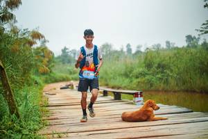 BIB: 
                            <button type="button" onclick="openModal(25106750)" class="btn btn-primary btn-sm float-right btn-popup" data-toggle="modal" data-target=".modal-high-quality">
                        <i class="fas fa-shopping-cart"></i> Add to Cart
                    </button>
                                            <button type="button" onclick="isThisMe(25106750, true)" class="btn btn-success btn-sm float-right btn-popup btn-isme hidden" data-toggle="tooltip" data-placement="bottom" title="นี่คือรูปของคุณใช่ไหม คลิกที่นี่เพื่อเอาเข้าอัลบั้ม">
                        <i class="fas fa-plus"></i> Add to album
                    </button>
                    <button type="button" onclick="isThisMe(25106750, false)" class="btn btn-warning btn-sm float-right btn-popup btn-isnotme hidden">
                        <i class="fas fa-ban"></i> Remove from album
                    </button>