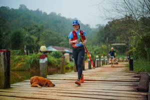 BIB: 
                            <button type="button" onclick="openModal(25113831)" class="btn btn-primary btn-sm float-right btn-popup" data-toggle="modal" data-target=".modal-high-quality">
                        <i class="fas fa-shopping-cart"></i> Add to Cart
                    </button>
                                            <button type="button" onclick="isThisMe(25113831, true)" class="btn btn-success btn-sm float-right btn-popup btn-isme hidden" data-toggle="tooltip" data-placement="bottom" title="นี่คือรูปของคุณใช่ไหม คลิกที่นี่เพื่อเอาเข้าอัลบั้ม">
                        <i class="fas fa-plus"></i> Add to album
                    </button>
                    <button type="button" onclick="isThisMe(25113831, false)" class="btn btn-warning btn-sm float-right btn-popup btn-isnotme hidden">
                        <i class="fas fa-ban"></i> Remove from album
                    </button>