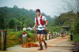 BIB: 
                            <button type="button" onclick="openModal(25158024)" class="btn btn-primary btn-sm float-right btn-popup" data-toggle="modal" data-target=".modal-high-quality">
                        <i class="fas fa-shopping-cart"></i> Add to Cart
                    </button>
                                            <button type="button" onclick="isThisMe(25158024, true)" class="btn btn-success btn-sm float-right btn-popup btn-isme hidden" data-toggle="tooltip" data-placement="bottom" title="นี่คือรูปของคุณใช่ไหม คลิกที่นี่เพื่อเอาเข้าอัลบั้ม">
                        <i class="fas fa-plus"></i> Add to album
                    </button>
                    <button type="button" onclick="isThisMe(25158024, false)" class="btn btn-warning btn-sm float-right btn-popup btn-isnotme hidden">
                        <i class="fas fa-ban"></i> Remove from album
                    </button>