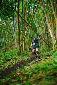 BIB: 
                            <button type="button" onclick="openModal(25166686)" class="btn btn-primary btn-sm float-right btn-popup" data-toggle="modal" data-target=".modal-high-quality">
                        <i class="fas fa-shopping-cart"></i> Add to Cart
                    </button>
                                            <button type="button" onclick="isThisMe(25166686, true)" class="btn btn-success btn-sm float-right btn-popup btn-isme hidden" data-toggle="tooltip" data-placement="bottom" title="นี่คือรูปของคุณใช่ไหม คลิกที่นี่เพื่อเอาเข้าอัลบั้ม">
                        <i class="fas fa-plus"></i> Add to album
                    </button>
                    <button type="button" onclick="isThisMe(25166686, false)" class="btn btn-warning btn-sm float-right btn-popup btn-isnotme hidden">
                        <i class="fas fa-ban"></i> Remove from album
                    </button>