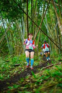 BIB: 
                            <button type="button" onclick="openModal(25168764)" class="btn btn-primary btn-sm float-right btn-popup" data-toggle="modal" data-target=".modal-high-quality">
                        <i class="fas fa-shopping-cart"></i> Add to Cart
                    </button>
                                            <button type="button" onclick="isThisMe(25168764, true)" class="btn btn-success btn-sm float-right btn-popup btn-isme hidden" data-toggle="tooltip" data-placement="bottom" title="นี่คือรูปของคุณใช่ไหม คลิกที่นี่เพื่อเอาเข้าอัลบั้ม">
                        <i class="fas fa-plus"></i> Add to album
                    </button>
                    <button type="button" onclick="isThisMe(25168764, false)" class="btn btn-warning btn-sm float-right btn-popup btn-isnotme hidden">
                        <i class="fas fa-ban"></i> Remove from album
                    </button>