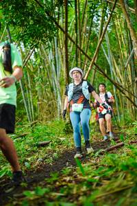 BIB: 
                            <button type="button" onclick="openModal(25143529)" class="btn btn-primary btn-sm float-right btn-popup" data-toggle="modal" data-target=".modal-high-quality">
                        <i class="fas fa-shopping-cart"></i> Add to Cart
                    </button>
                                            <button type="button" onclick="isThisMe(25143529, true)" class="btn btn-success btn-sm float-right btn-popup btn-isme hidden" data-toggle="tooltip" data-placement="bottom" title="นี่คือรูปของคุณใช่ไหม คลิกที่นี่เพื่อเอาเข้าอัลบั้ม">
                        <i class="fas fa-plus"></i> Add to album
                    </button>
                    <button type="button" onclick="isThisMe(25143529, false)" class="btn btn-warning btn-sm float-right btn-popup btn-isnotme hidden">
                        <i class="fas fa-ban"></i> Remove from album
                    </button>