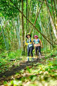 BIB: 
                            <button type="button" onclick="openModal(25194170)" class="btn btn-primary btn-sm float-right btn-popup" data-toggle="modal" data-target=".modal-high-quality">
                        <i class="fas fa-shopping-cart"></i> Add to Cart
                    </button>
                                            <button type="button" onclick="isThisMe(25194170, true)" class="btn btn-success btn-sm float-right btn-popup btn-isme hidden" data-toggle="tooltip" data-placement="bottom" title="นี่คือรูปของคุณใช่ไหม คลิกที่นี่เพื่อเอาเข้าอัลบั้ม">
                        <i class="fas fa-plus"></i> Add to album
                    </button>
                    <button type="button" onclick="isThisMe(25194170, false)" class="btn btn-warning btn-sm float-right btn-popup btn-isnotme hidden">
                        <i class="fas fa-ban"></i> Remove from album
                    </button>