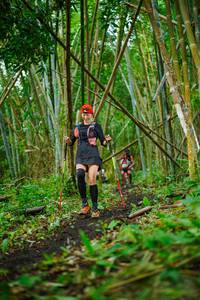 BIB: 
                            <button type="button" onclick="openModal(25119476)" class="btn btn-primary btn-sm float-right btn-popup" data-toggle="modal" data-target=".modal-high-quality">
                        <i class="fas fa-shopping-cart"></i> Add to Cart
                    </button>
                                            <button type="button" onclick="isThisMe(25119476, true)" class="btn btn-success btn-sm float-right btn-popup btn-isme hidden" data-toggle="tooltip" data-placement="bottom" title="นี่คือรูปของคุณใช่ไหม คลิกที่นี่เพื่อเอาเข้าอัลบั้ม">
                        <i class="fas fa-plus"></i> Add to album
                    </button>
                    <button type="button" onclick="isThisMe(25119476, false)" class="btn btn-warning btn-sm float-right btn-popup btn-isnotme hidden">
                        <i class="fas fa-ban"></i> Remove from album
                    </button>