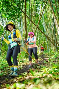 BIB: 
                            <button type="button" onclick="openModal(25194397)" class="btn btn-primary btn-sm float-right btn-popup" data-toggle="modal" data-target=".modal-high-quality">
                        <i class="fas fa-shopping-cart"></i> Add to Cart
                    </button>
                                            <button type="button" onclick="isThisMe(25194397, true)" class="btn btn-success btn-sm float-right btn-popup btn-isme hidden" data-toggle="tooltip" data-placement="bottom" title="นี่คือรูปของคุณใช่ไหม คลิกที่นี่เพื่อเอาเข้าอัลบั้ม">
                        <i class="fas fa-plus"></i> Add to album
                    </button>
                    <button type="button" onclick="isThisMe(25194397, false)" class="btn btn-warning btn-sm float-right btn-popup btn-isnotme hidden">
                        <i class="fas fa-ban"></i> Remove from album
                    </button>