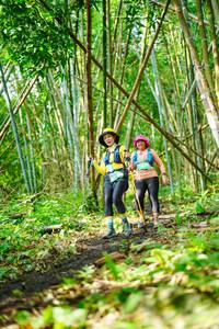 BIB: 
                            <button type="button" onclick="openModal(25194159)" class="btn btn-primary btn-sm float-right btn-popup" data-toggle="modal" data-target=".modal-high-quality">
                        <i class="fas fa-shopping-cart"></i> Add to Cart
                    </button>
                                            <button type="button" onclick="isThisMe(25194159, true)" class="btn btn-success btn-sm float-right btn-popup btn-isme hidden" data-toggle="tooltip" data-placement="bottom" title="นี่คือรูปของคุณใช่ไหม คลิกที่นี่เพื่อเอาเข้าอัลบั้ม">
                        <i class="fas fa-plus"></i> Add to album
                    </button>
                    <button type="button" onclick="isThisMe(25194159, false)" class="btn btn-warning btn-sm float-right btn-popup btn-isnotme hidden">
                        <i class="fas fa-ban"></i> Remove from album
                    </button>