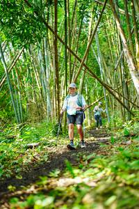 BIB: 
                            <button type="button" onclick="openModal(25196900)" class="btn btn-primary btn-sm float-right btn-popup" data-toggle="modal" data-target=".modal-high-quality">
                        <i class="fas fa-shopping-cart"></i> Add to Cart
                    </button>
                                            <button type="button" onclick="isThisMe(25196900, true)" class="btn btn-success btn-sm float-right btn-popup btn-isme hidden" data-toggle="tooltip" data-placement="bottom" title="นี่คือรูปของคุณใช่ไหม คลิกที่นี่เพื่อเอาเข้าอัลบั้ม">
                        <i class="fas fa-plus"></i> Add to album
                    </button>
                    <button type="button" onclick="isThisMe(25196900, false)" class="btn btn-warning btn-sm float-right btn-popup btn-isnotme hidden">
                        <i class="fas fa-ban"></i> Remove from album
                    </button>