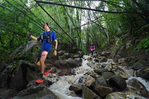 BIB: 
                            <button type="button" onclick="openModal(25116467)" class="btn btn-primary btn-sm float-right btn-popup" data-toggle="modal" data-target=".modal-high-quality">
                        <i class="fas fa-shopping-cart"></i> Add to Cart
                    </button>
                                            <button type="button" onclick="isThisMe(25116467, true)" class="btn btn-success btn-sm float-right btn-popup btn-isme hidden" data-toggle="tooltip" data-placement="bottom" title="นี่คือรูปของคุณใช่ไหม คลิกที่นี่เพื่อเอาเข้าอัลบั้ม">
                        <i class="fas fa-plus"></i> Add to album
                    </button>
                    <button type="button" onclick="isThisMe(25116467, false)" class="btn btn-warning btn-sm float-right btn-popup btn-isnotme hidden">
                        <i class="fas fa-ban"></i> Remove from album
                    </button>