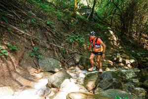 BIB: 
                            <button type="button" onclick="openModal(25118306)" class="btn btn-primary btn-sm float-right btn-popup" data-toggle="modal" data-target=".modal-high-quality">
                        <i class="fas fa-shopping-cart"></i> Add to Cart
                    </button>
                                            <button type="button" onclick="isThisMe(25118306, true)" class="btn btn-success btn-sm float-right btn-popup btn-isme hidden" data-toggle="tooltip" data-placement="bottom" title="นี่คือรูปของคุณใช่ไหม คลิกที่นี่เพื่อเอาเข้าอัลบั้ม">
                        <i class="fas fa-plus"></i> Add to album
                    </button>
                    <button type="button" onclick="isThisMe(25118306, false)" class="btn btn-warning btn-sm float-right btn-popup btn-isnotme hidden">
                        <i class="fas fa-ban"></i> Remove from album
                    </button>