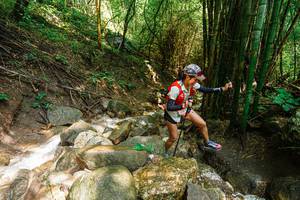 BIB: 
                            <button type="button" onclick="openModal(25118336)" class="btn btn-primary btn-sm float-right btn-popup" data-toggle="modal" data-target=".modal-high-quality">
                        <i class="fas fa-shopping-cart"></i> Add to Cart
                    </button>
                                            <button type="button" onclick="isThisMe(25118336, true)" class="btn btn-success btn-sm float-right btn-popup btn-isme hidden" data-toggle="tooltip" data-placement="bottom" title="นี่คือรูปของคุณใช่ไหม คลิกที่นี่เพื่อเอาเข้าอัลบั้ม">
                        <i class="fas fa-plus"></i> Add to album
                    </button>
                    <button type="button" onclick="isThisMe(25118336, false)" class="btn btn-warning btn-sm float-right btn-popup btn-isnotme hidden">
                        <i class="fas fa-ban"></i> Remove from album
                    </button>