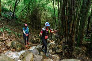 BIB: 
                            <button type="button" onclick="openModal(25117567)" class="btn btn-primary btn-sm float-right btn-popup" data-toggle="modal" data-target=".modal-high-quality">
                        <i class="fas fa-shopping-cart"></i> Add to Cart
                    </button>
                                            <button type="button" onclick="isThisMe(25117567, true)" class="btn btn-success btn-sm float-right btn-popup btn-isme hidden" data-toggle="tooltip" data-placement="bottom" title="นี่คือรูปของคุณใช่ไหม คลิกที่นี่เพื่อเอาเข้าอัลบั้ม">
                        <i class="fas fa-plus"></i> Add to album
                    </button>
                    <button type="button" onclick="isThisMe(25117567, false)" class="btn btn-warning btn-sm float-right btn-popup btn-isnotme hidden">
                        <i class="fas fa-ban"></i> Remove from album
                    </button>