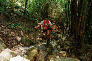 BIB: 
                            <button type="button" onclick="openModal(25118194)" class="btn btn-primary btn-sm float-right btn-popup" data-toggle="modal" data-target=".modal-high-quality">
                        <i class="fas fa-shopping-cart"></i> Add to Cart
                    </button>
                                            <button type="button" onclick="isThisMe(25118194, true)" class="btn btn-success btn-sm float-right btn-popup btn-isme hidden" data-toggle="tooltip" data-placement="bottom" title="นี่คือรูปของคุณใช่ไหม คลิกที่นี่เพื่อเอาเข้าอัลบั้ม">
                        <i class="fas fa-plus"></i> Add to album
                    </button>
                    <button type="button" onclick="isThisMe(25118194, false)" class="btn btn-warning btn-sm float-right btn-popup btn-isnotme hidden">
                        <i class="fas fa-ban"></i> Remove from album
                    </button>