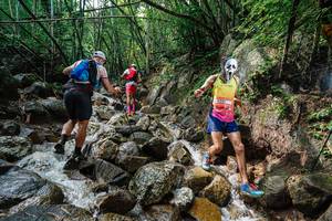 BIB: 
                            <button type="button" onclick="openModal(25118365)" class="btn btn-primary btn-sm float-right btn-popup" data-toggle="modal" data-target=".modal-high-quality">
                        <i class="fas fa-shopping-cart"></i> Add to Cart
                    </button>
                                            <button type="button" onclick="isThisMe(25118365, true)" class="btn btn-success btn-sm float-right btn-popup btn-isme hidden" data-toggle="tooltip" data-placement="bottom" title="นี่คือรูปของคุณใช่ไหม คลิกที่นี่เพื่อเอาเข้าอัลบั้ม">
                        <i class="fas fa-plus"></i> Add to album
                    </button>
                    <button type="button" onclick="isThisMe(25118365, false)" class="btn btn-warning btn-sm float-right btn-popup btn-isnotme hidden">
                        <i class="fas fa-ban"></i> Remove from album
                    </button>