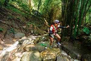 BIB: 
                            <button type="button" onclick="openModal(25118339)" class="btn btn-primary btn-sm float-right btn-popup" data-toggle="modal" data-target=".modal-high-quality">
                        <i class="fas fa-shopping-cart"></i> Add to Cart
                    </button>
                                            <button type="button" onclick="isThisMe(25118339, true)" class="btn btn-success btn-sm float-right btn-popup btn-isme hidden" data-toggle="tooltip" data-placement="bottom" title="นี่คือรูปของคุณใช่ไหม คลิกที่นี่เพื่อเอาเข้าอัลบั้ม">
                        <i class="fas fa-plus"></i> Add to album
                    </button>
                    <button type="button" onclick="isThisMe(25118339, false)" class="btn btn-warning btn-sm float-right btn-popup btn-isnotme hidden">
                        <i class="fas fa-ban"></i> Remove from album
                    </button>