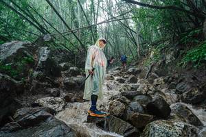 BIB: 
                            <button type="button" onclick="openModal(25117183)" class="btn btn-primary btn-sm float-right btn-popup" data-toggle="modal" data-target=".modal-high-quality">
                        <i class="fas fa-shopping-cart"></i> Add to Cart
                    </button>
                                            <button type="button" onclick="isThisMe(25117183, true)" class="btn btn-success btn-sm float-right btn-popup btn-isme hidden" data-toggle="tooltip" data-placement="bottom" title="นี่คือรูปของคุณใช่ไหม คลิกที่นี่เพื่อเอาเข้าอัลบั้ม">
                        <i class="fas fa-plus"></i> Add to album
                    </button>
                    <button type="button" onclick="isThisMe(25117183, false)" class="btn btn-warning btn-sm float-right btn-popup btn-isnotme hidden">
                        <i class="fas fa-ban"></i> Remove from album
                    </button>