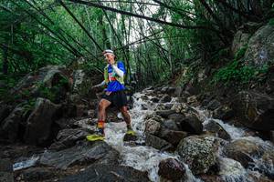 BIB: 
                            <button type="button" onclick="openModal(25115699)" class="btn btn-primary btn-sm float-right btn-popup" data-toggle="modal" data-target=".modal-high-quality">
                        <i class="fas fa-shopping-cart"></i> Add to Cart
                    </button>
                                            <button type="button" onclick="isThisMe(25115699, true)" class="btn btn-success btn-sm float-right btn-popup btn-isme hidden" data-toggle="tooltip" data-placement="bottom" title="นี่คือรูปของคุณใช่ไหม คลิกที่นี่เพื่อเอาเข้าอัลบั้ม">
                        <i class="fas fa-plus"></i> Add to album
                    </button>
                    <button type="button" onclick="isThisMe(25115699, false)" class="btn btn-warning btn-sm float-right btn-popup btn-isnotme hidden">
                        <i class="fas fa-ban"></i> Remove from album
                    </button>