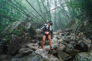 BIB: 
                            <button type="button" onclick="openModal(25117307)" class="btn btn-primary btn-sm float-right btn-popup" data-toggle="modal" data-target=".modal-high-quality">
                        <i class="fas fa-shopping-cart"></i> Add to Cart
                    </button>
                                            <button type="button" onclick="isThisMe(25117307, true)" class="btn btn-success btn-sm float-right btn-popup btn-isme hidden" data-toggle="tooltip" data-placement="bottom" title="นี่คือรูปของคุณใช่ไหม คลิกที่นี่เพื่อเอาเข้าอัลบั้ม">
                        <i class="fas fa-plus"></i> Add to album
                    </button>
                    <button type="button" onclick="isThisMe(25117307, false)" class="btn btn-warning btn-sm float-right btn-popup btn-isnotme hidden">
                        <i class="fas fa-ban"></i> Remove from album
                    </button>