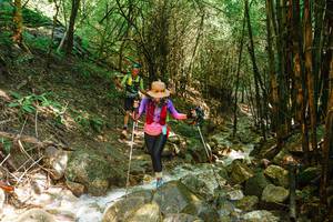 BIB: 
                            <button type="button" onclick="openModal(25118100)" class="btn btn-primary btn-sm float-right btn-popup" data-toggle="modal" data-target=".modal-high-quality">
                        <i class="fas fa-shopping-cart"></i> Add to Cart
                    </button>
                                            <button type="button" onclick="isThisMe(25118100, true)" class="btn btn-success btn-sm float-right btn-popup btn-isme hidden" data-toggle="tooltip" data-placement="bottom" title="นี่คือรูปของคุณใช่ไหม คลิกที่นี่เพื่อเอาเข้าอัลบั้ม">
                        <i class="fas fa-plus"></i> Add to album
                    </button>
                    <button type="button" onclick="isThisMe(25118100, false)" class="btn btn-warning btn-sm float-right btn-popup btn-isnotme hidden">
                        <i class="fas fa-ban"></i> Remove from album
                    </button>