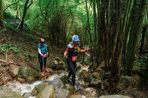 BIB: 
                            <button type="button" onclick="openModal(25117556)" class="btn btn-primary btn-sm float-right btn-popup" data-toggle="modal" data-target=".modal-high-quality">
                        <i class="fas fa-shopping-cart"></i> Add to Cart
                    </button>
                                            <button type="button" onclick="isThisMe(25117556, true)" class="btn btn-success btn-sm float-right btn-popup btn-isme hidden" data-toggle="tooltip" data-placement="bottom" title="นี่คือรูปของคุณใช่ไหม คลิกที่นี่เพื่อเอาเข้าอัลบั้ม">
                        <i class="fas fa-plus"></i> Add to album
                    </button>
                    <button type="button" onclick="isThisMe(25117556, false)" class="btn btn-warning btn-sm float-right btn-popup btn-isnotme hidden">
                        <i class="fas fa-ban"></i> Remove from album
                    </button>