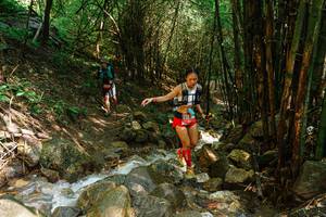 BIB: 
                            <button type="button" onclick="openModal(25117753)" class="btn btn-primary btn-sm float-right btn-popup" data-toggle="modal" data-target=".modal-high-quality">
                        <i class="fas fa-shopping-cart"></i> Add to Cart
                    </button>
                                            <button type="button" onclick="isThisMe(25117753, true)" class="btn btn-success btn-sm float-right btn-popup btn-isme hidden" data-toggle="tooltip" data-placement="bottom" title="นี่คือรูปของคุณใช่ไหม คลิกที่นี่เพื่อเอาเข้าอัลบั้ม">
                        <i class="fas fa-plus"></i> Add to album
                    </button>
                    <button type="button" onclick="isThisMe(25117753, false)" class="btn btn-warning btn-sm float-right btn-popup btn-isnotme hidden">
                        <i class="fas fa-ban"></i> Remove from album
                    </button>