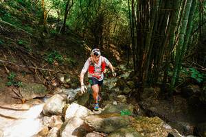 BIB: 
                            <button type="button" onclick="openModal(25118217)" class="btn btn-primary btn-sm float-right btn-popup" data-toggle="modal" data-target=".modal-high-quality">
                        <i class="fas fa-shopping-cart"></i> Add to Cart
                    </button>
                                            <button type="button" onclick="isThisMe(25118217, true)" class="btn btn-success btn-sm float-right btn-popup btn-isme hidden" data-toggle="tooltip" data-placement="bottom" title="นี่คือรูปของคุณใช่ไหม คลิกที่นี่เพื่อเอาเข้าอัลบั้ม">
                        <i class="fas fa-plus"></i> Add to album
                    </button>
                    <button type="button" onclick="isThisMe(25118217, false)" class="btn btn-warning btn-sm float-right btn-popup btn-isnotme hidden">
                        <i class="fas fa-ban"></i> Remove from album
                    </button>