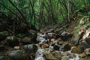 BIB: 
                            <button type="button" onclick="openModal(25117618)" class="btn btn-primary btn-sm float-right btn-popup" data-toggle="modal" data-target=".modal-high-quality">
                        <i class="fas fa-shopping-cart"></i> Add to Cart
                    </button>
                                            <button type="button" onclick="isThisMe(25117618, true)" class="btn btn-success btn-sm float-right btn-popup btn-isme hidden" data-toggle="tooltip" data-placement="bottom" title="นี่คือรูปของคุณใช่ไหม คลิกที่นี่เพื่อเอาเข้าอัลบั้ม">
                        <i class="fas fa-plus"></i> Add to album
                    </button>
                    <button type="button" onclick="isThisMe(25117618, false)" class="btn btn-warning btn-sm float-right btn-popup btn-isnotme hidden">
                        <i class="fas fa-ban"></i> Remove from album
                    </button>