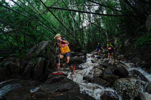 BIB: 
                            <button type="button" onclick="openModal(25115850)" class="btn btn-primary btn-sm float-right btn-popup" data-toggle="modal" data-target=".modal-high-quality">
                        <i class="fas fa-shopping-cart"></i> Add to Cart
                    </button>
                                            <button type="button" onclick="isThisMe(25115850, true)" class="btn btn-success btn-sm float-right btn-popup btn-isme hidden" data-toggle="tooltip" data-placement="bottom" title="นี่คือรูปของคุณใช่ไหม คลิกที่นี่เพื่อเอาเข้าอัลบั้ม">
                        <i class="fas fa-plus"></i> Add to album
                    </button>
                    <button type="button" onclick="isThisMe(25115850, false)" class="btn btn-warning btn-sm float-right btn-popup btn-isnotme hidden">
                        <i class="fas fa-ban"></i> Remove from album
                    </button>