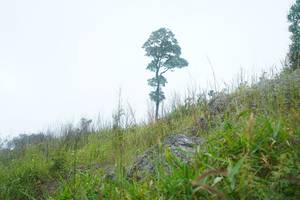 BIB: 
                            <button type="button" onclick="openModal(25094711)" class="btn btn-primary btn-sm float-right btn-popup" data-toggle="modal" data-target=".modal-high-quality">
                        <i class="fas fa-shopping-cart"></i> Add to Cart
                    </button>
                                            <button type="button" onclick="isThisMe(25094711, true)" class="btn btn-success btn-sm float-right btn-popup btn-isme hidden" data-toggle="tooltip" data-placement="bottom" title="นี่คือรูปของคุณใช่ไหม คลิกที่นี่เพื่อเอาเข้าอัลบั้ม">
                        <i class="fas fa-plus"></i> Add to album
                    </button>
                    <button type="button" onclick="isThisMe(25094711, false)" class="btn btn-warning btn-sm float-right btn-popup btn-isnotme hidden">
                        <i class="fas fa-ban"></i> Remove from album
                    </button>