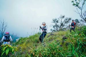 BIB: 
                            <button type="button" onclick="openModal(25095002)" class="btn btn-primary btn-sm float-right btn-popup" data-toggle="modal" data-target=".modal-high-quality">
                        <i class="fas fa-shopping-cart"></i> Add to Cart
                    </button>
                                            <button type="button" onclick="isThisMe(25095002, true)" class="btn btn-success btn-sm float-right btn-popup btn-isme hidden" data-toggle="tooltip" data-placement="bottom" title="นี่คือรูปของคุณใช่ไหม คลิกที่นี่เพื่อเอาเข้าอัลบั้ม">
                        <i class="fas fa-plus"></i> Add to album
                    </button>
                    <button type="button" onclick="isThisMe(25095002, false)" class="btn btn-warning btn-sm float-right btn-popup btn-isnotme hidden">
                        <i class="fas fa-ban"></i> Remove from album
                    </button>