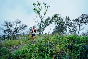 BIB: 
                            <button type="button" onclick="openModal(25096508)" class="btn btn-primary btn-sm float-right btn-popup" data-toggle="modal" data-target=".modal-high-quality">
                        <i class="fas fa-shopping-cart"></i> Add to Cart
                    </button>
                                            <button type="button" onclick="isThisMe(25096508, true)" class="btn btn-success btn-sm float-right btn-popup btn-isme hidden" data-toggle="tooltip" data-placement="bottom" title="นี่คือรูปของคุณใช่ไหม คลิกที่นี่เพื่อเอาเข้าอัลบั้ม">
                        <i class="fas fa-plus"></i> Add to album
                    </button>
                    <button type="button" onclick="isThisMe(25096508, false)" class="btn btn-warning btn-sm float-right btn-popup btn-isnotme hidden">
                        <i class="fas fa-ban"></i> Remove from album
                    </button>