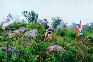 BIB: 
                            <button type="button" onclick="openModal(25087357)" class="btn btn-primary btn-sm float-right btn-popup" data-toggle="modal" data-target=".modal-high-quality">
                        <i class="fas fa-shopping-cart"></i> Add to Cart
                    </button>
                                            <button type="button" onclick="isThisMe(25087357, true)" class="btn btn-success btn-sm float-right btn-popup btn-isme hidden" data-toggle="tooltip" data-placement="bottom" title="นี่คือรูปของคุณใช่ไหม คลิกที่นี่เพื่อเอาเข้าอัลบั้ม">
                        <i class="fas fa-plus"></i> Add to album
                    </button>
                    <button type="button" onclick="isThisMe(25087357, false)" class="btn btn-warning btn-sm float-right btn-popup btn-isnotme hidden">
                        <i class="fas fa-ban"></i> Remove from album
                    </button>