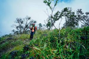 BIB: 
                            <button type="button" onclick="openModal(25096130)" class="btn btn-primary btn-sm float-right btn-popup" data-toggle="modal" data-target=".modal-high-quality">
                        <i class="fas fa-shopping-cart"></i> Add to Cart
                    </button>
                                            <button type="button" onclick="isThisMe(25096130, true)" class="btn btn-success btn-sm float-right btn-popup btn-isme hidden" data-toggle="tooltip" data-placement="bottom" title="นี่คือรูปของคุณใช่ไหม คลิกที่นี่เพื่อเอาเข้าอัลบั้ม">
                        <i class="fas fa-plus"></i> Add to album
                    </button>
                    <button type="button" onclick="isThisMe(25096130, false)" class="btn btn-warning btn-sm float-right btn-popup btn-isnotme hidden">
                        <i class="fas fa-ban"></i> Remove from album
                    </button>