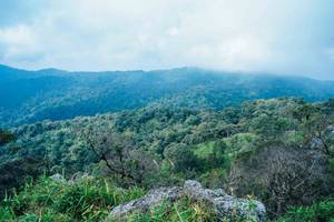 BIB: 
                            <button type="button" onclick="openModal(25098438)" class="btn btn-primary btn-sm float-right btn-popup" data-toggle="modal" data-target=".modal-high-quality">
                        <i class="fas fa-shopping-cart"></i> Add to Cart
                    </button>
                                            <button type="button" onclick="isThisMe(25098438, true)" class="btn btn-success btn-sm float-right btn-popup btn-isme hidden" data-toggle="tooltip" data-placement="bottom" title="นี่คือรูปของคุณใช่ไหม คลิกที่นี่เพื่อเอาเข้าอัลบั้ม">
                        <i class="fas fa-plus"></i> Add to album
                    </button>
                    <button type="button" onclick="isThisMe(25098438, false)" class="btn btn-warning btn-sm float-right btn-popup btn-isnotme hidden">
                        <i class="fas fa-ban"></i> Remove from album
                    </button>