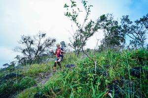 BIB: 
                            <button type="button" onclick="openModal(25098516)" class="btn btn-primary btn-sm float-right btn-popup" data-toggle="modal" data-target=".modal-high-quality">
                        <i class="fas fa-shopping-cart"></i> Add to Cart
                    </button>
                                            <button type="button" onclick="isThisMe(25098516, true)" class="btn btn-success btn-sm float-right btn-popup btn-isme hidden" data-toggle="tooltip" data-placement="bottom" title="นี่คือรูปของคุณใช่ไหม คลิกที่นี่เพื่อเอาเข้าอัลบั้ม">
                        <i class="fas fa-plus"></i> Add to album
                    </button>
                    <button type="button" onclick="isThisMe(25098516, false)" class="btn btn-warning btn-sm float-right btn-popup btn-isnotme hidden">
                        <i class="fas fa-ban"></i> Remove from album
                    </button>